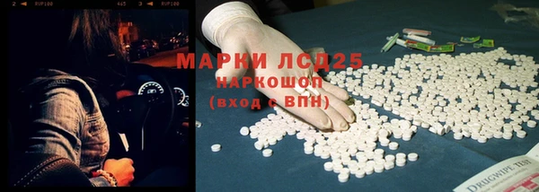 индика Алексин