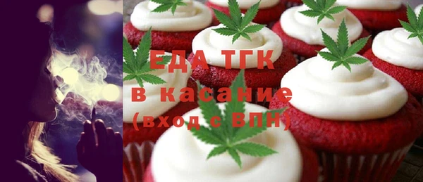 индика Алексин
