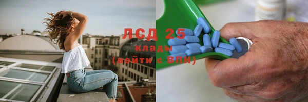 индика Алексин