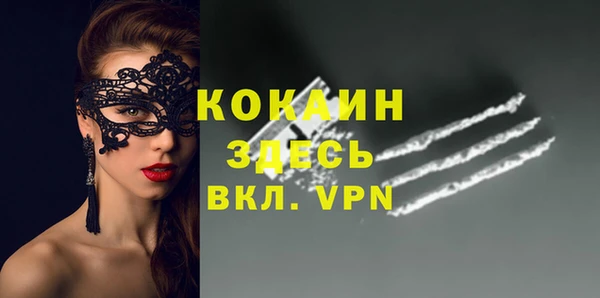 индика Алексин