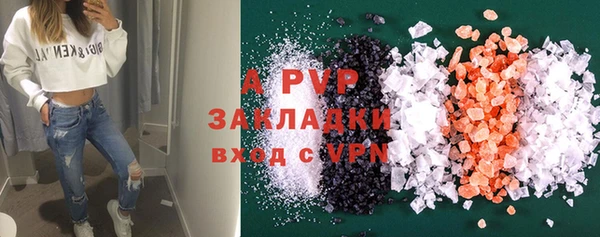 индика Алексин