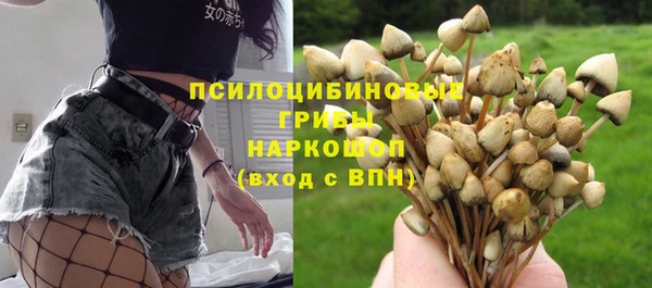 mdpv Семилуки