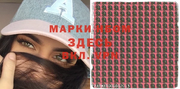 apvp Алзамай