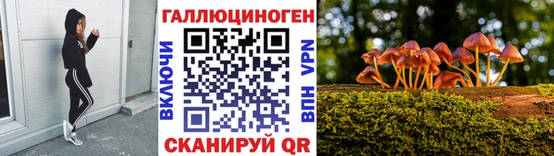 Псилоцибиновые грибы Cubensis  kraken   Ветлуга 